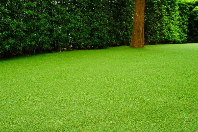 artificial lawn