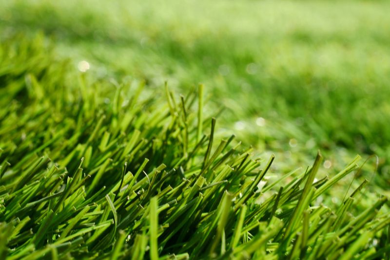 artificial grass