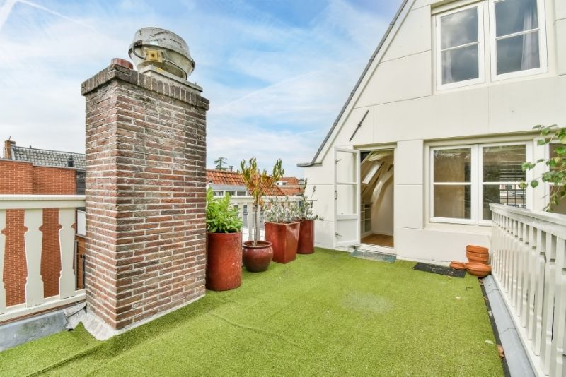 home backyard with a turf lawn and potted plants